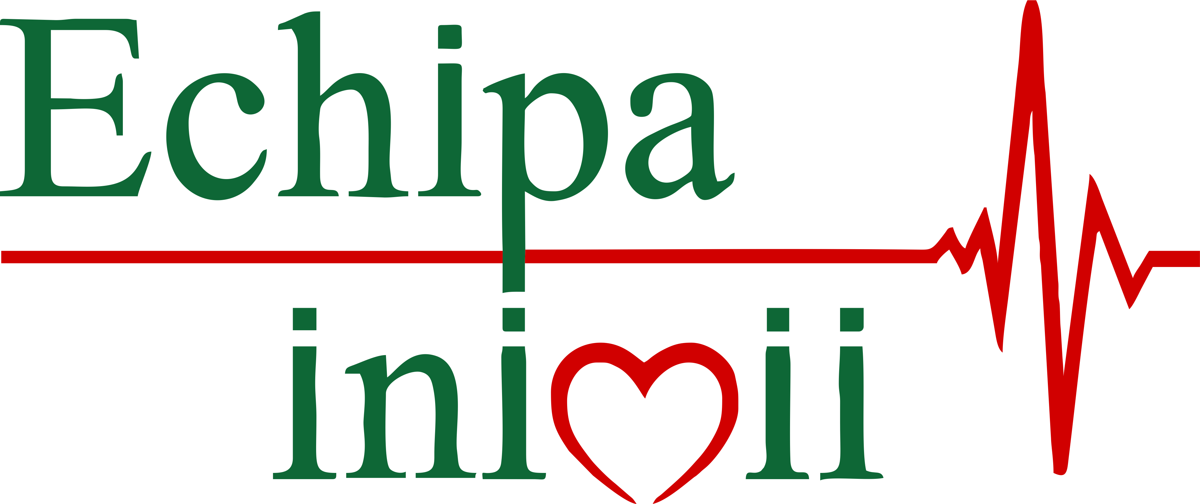 Echipa Inimii